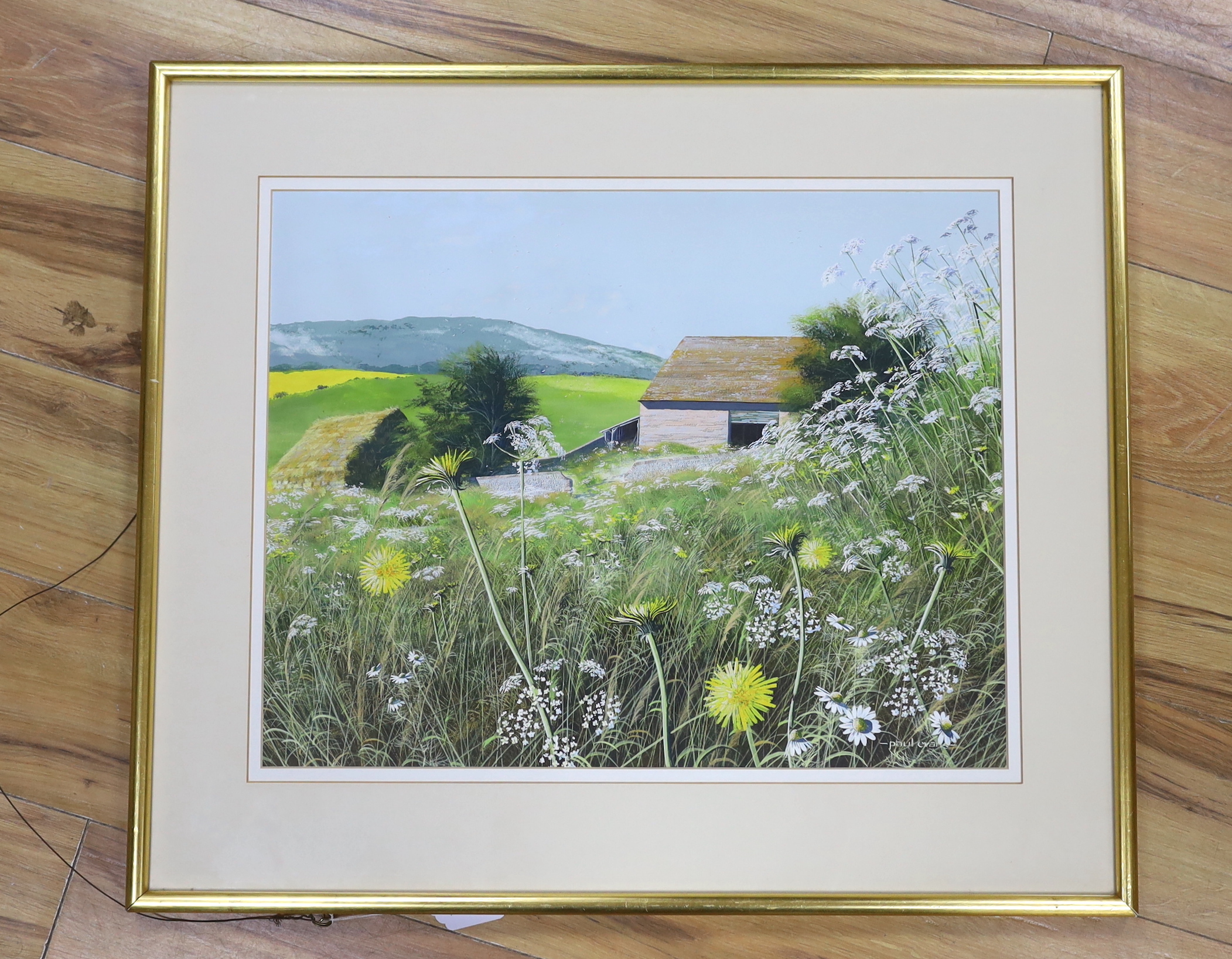 Paul Evans (b.1954), gouache, Meadow landscape, Dandelions, signed, 43 x 55cm